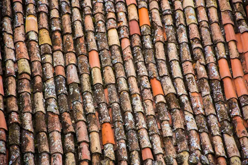 Gros plan sur des tuiles de toiture anciennes